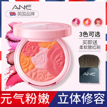 ANE blush high-gloss one-piece nude makeup natural student cheap cream sun-shaven three-in-one
