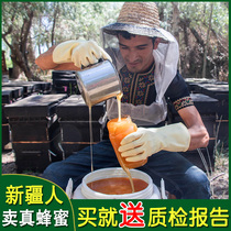 Honey Pure natural wild soil honey farm-produced mature honey 2 pounds of Xinjiang jujube nectar non-hundred flower honey