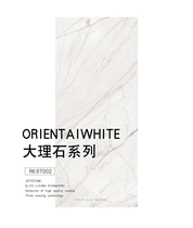 Nobel all-ceramic glazed Marble tiles Simple modern Arctic Ocean RK97002