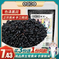 Black rice new grain northeast farmhouse self-produced fragrant rice brown rice black rice whole grains black rice gruel 450g coarse grain