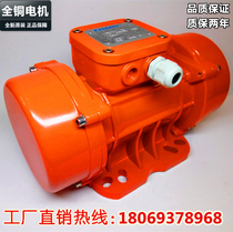 Dust-proof and waterproof vibrator MVE100 200 300 3 Industrial earthquake motor 380V electric blanking