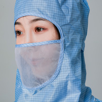Anti-static class 100 dust-free suit Dust-free work clothes Mesh hooded one-piece with mask Clean room construction suit Frog style