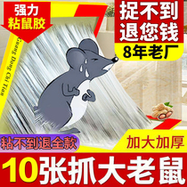 Strong sticky mouse plate rat catching mouse paste glue to kill catch big mouse clip rat trap artifact stick rat household