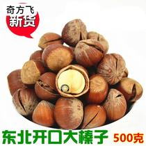 Northeast Teryield Sadako Ogata Dried Fruits Large Hazelnut Pine Nuts of the Nuts Qinzi Great Stick