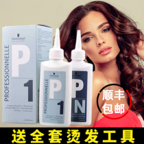 Schwarzkor hot hot water for men and women big wave curly hair home lasting tasteless non-Hair Potion