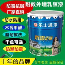 Exterior wall paint colored white latex paint exterior wall waterproof sunscreen paint toilet wall paint environmental paint