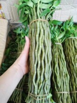 Authentic Huoshan 4 years fresh Dendrobium dendrobium fresh strips 500g premium Chinese herbal medicine Iron Fengdou Chinese herbal medicine