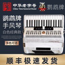 Parrot Accordion 8 32 48 60 96 120 Beth three or four row Reed button accordion beginner playing