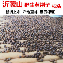 Huang Jingzi pillow wild new product Huang Jingzi seed cervical spine correction adult baby pillow pillow core cushion filler