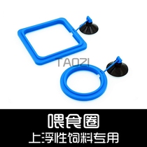 Floating type feed special feeding ring feeding ring fish tank special feeder anti-floating