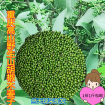 Sichuan Chongqing Alpine Wild Mountain Pepper Fresh Wood Ginger Mountain Cangzi Wood Pulp Now Pick Vacuum 1 Jin