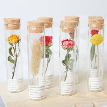 Flowers Glass Test Tube Eternal Life Dried Bouquet Starry Wishing Bottle Plant specimen Wedding Graduation Day Hand gift