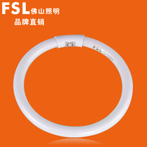 Foshan lighting T5 ring fluorescent tube round three primary color energy saving 22W28W32W40 tile ballast FSL