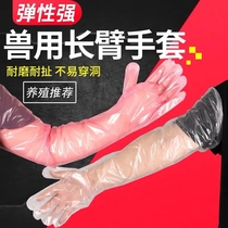 Veterinary disposable long arm gloves sheep cattle sow midwifery long wall inspection pig soft delivery gloves