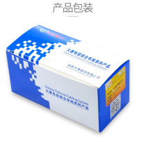 Buy ten to send a big Tangtelecom Six class RJ45 one thousand trillion Crystal head six types of network crystal heads DTT-H6-1081