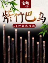Bawu Hengfeng Zizhu musical instrument professional performance Send beginner materials Small DC drop bAGFE Big drop E Big C