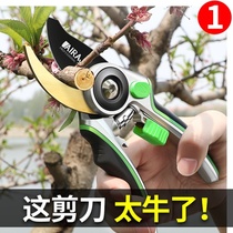 德国进口园艺剪枝剪刀果树枝园林花枝花艺修枝剪强力采摘水果神器