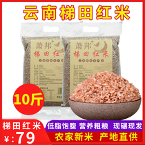 Yunnan Honghe Red Soft Rice Yuanyang Hani Terraces Red Rice New Rice Red Rice Whole Grains Brown Rice