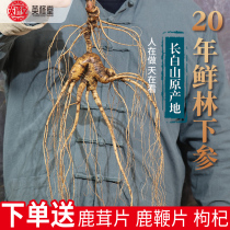Changbai Mountain Wild Forest Laoshan Ginseng 15-30 Years Mountain Ginseng Northeast Special Products Fresh Dry Ginseng Liquor 3 Gift Box