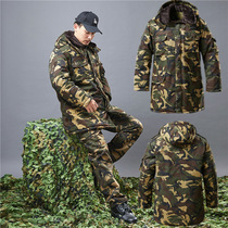 Yellow coat mens winter thickened cold-proof cold storage short clothing service long-term labor security security military cotton coat big cotton-padded jacket