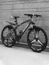 Jiante mountain bike cross-country speed sports car men and women light work bicycle youth Student Network