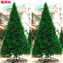 Christmas encryption 1 5 1 8 2 1 3 4 m shopping mall layout green Christmas tree pine needle iron foot naked tree