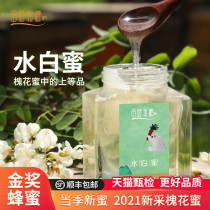 Field Animal Husbandry Bee water white honey Acacia honey Pure natural 2021 newly harvested Qinling Huaihua raw honey Mature honey