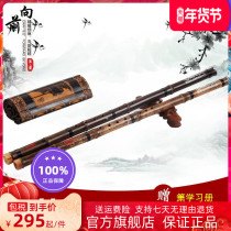 Easy to blow a section of short flute beginners musical instrument Dongxiao adult students direct G-key F-key eight-hole Xiao playing short Xiao