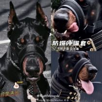 (Dubin Matt) the same type of explosion-proof punch mouth sleeve traction anti-mess ring large dog medium dog