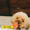 Товары от jump乐