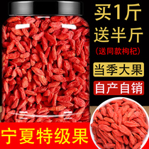 Lycium barbarum Ningxia premium 500g authentic large-grained red gouqi Gou Ji tea soaked in water male kidney dry official flagship store