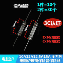  Induction COOKER glass safety tube wire 5*20MM 10A 15A250V 12A 12 5A 6*30 WITH PIN