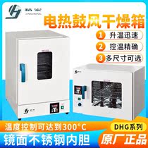  Shanghai Jinghong DHG-9030A 9070A 9140A Electric blast drying oven Vertical constant temperature spot