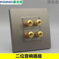 Dark gray type 86 2 Four-head audio sockets two position 5 1 surround dual audio microphone microphone wall panel