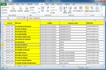 excel office electronic form VBA small software development custom-made efficient office reduction repeat