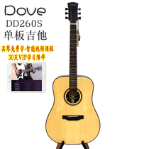 Pigeon DOVE DD260S single board folk guitar 41 inch spruce face single playing finger male and female guitar