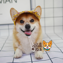 Wan Man Corgi dog Corgi pet hat spring and summer sun hat French bucket hat belly protection belly