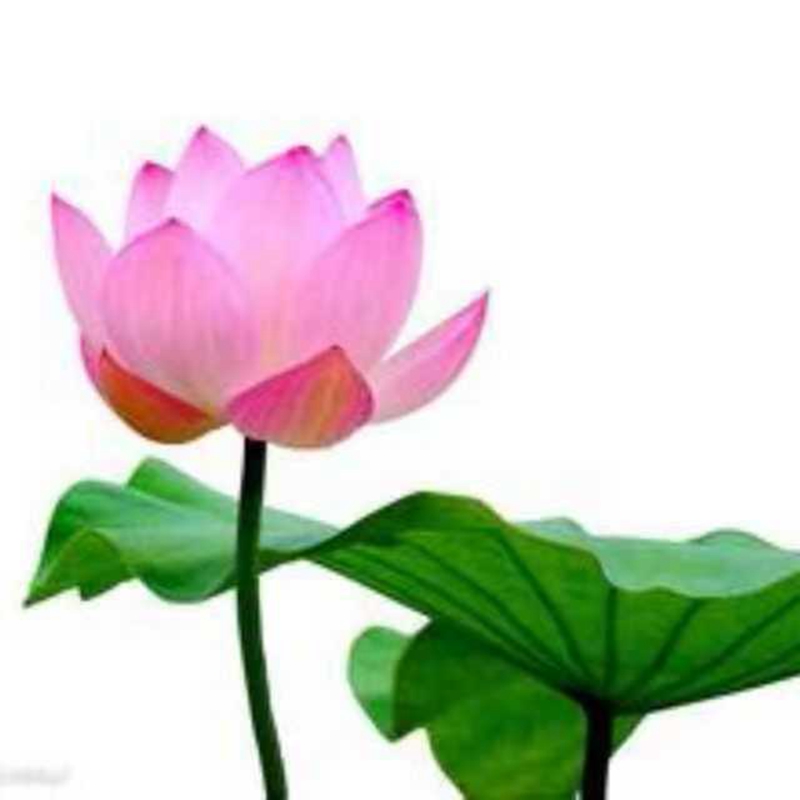 思妍丽护肤品好吗。DECLEOR多肽紧致面霜精华眼霜测评