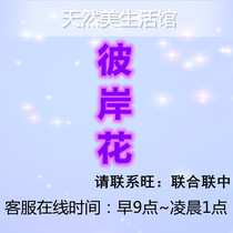 Cool stars on the shore flower icon The other side Flower 1 can be bright for three days