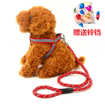 Fluorescent teddy dog leash dog leash luminous dog leash small dog pet chest strap dog rope