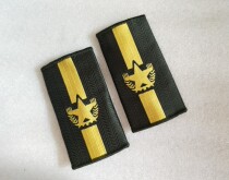 (Customer orders) (specific to the chat record)