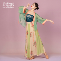 Classical dance costume female elegant performance uniform dress dress long skirt Chinese Han and Tang ancient dance clothing