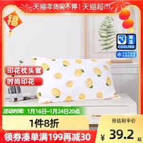 Bailis home textile sanding printed fabric pillow pillow core soft return elasticity good single 1 pair