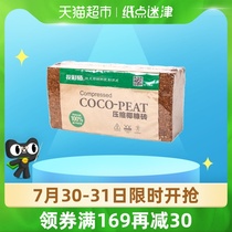 Hongyue flower color division Desalted coconut brick Coconut bran nutrient soil General gardening household balcony planting flowers green dill potted plants