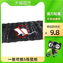 (Meow jiu ba) ke ling chong kong lao shu tie ultra-strong sticky rat artifact home rodent magic carpet 1*1 bag