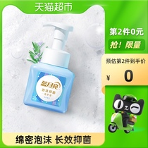 (New) Blue Moon foam antibacterial hand sanitizer Amber Cedar mild 99 9% antibacterial 255ml * 1 bottle