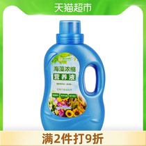 (Single product)Dewoduo fertilizer Seaweed concentrated nutrient solution Potted flowers universal plant liquid fertilizer