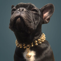 Rivet bucket collar anti-bite necklace dog chain domineering collar collar bully dog British pit bull supplies Liu Ding