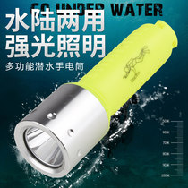 LED professional diving flashlight Underwater catch fish super bright waterproof long-range strong light outdoor household charging lighting