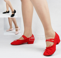 Dance shoes with belly dance shoes exercise shoes with soft bottom dance shoes canvas teacher Shoes ballet shoes
